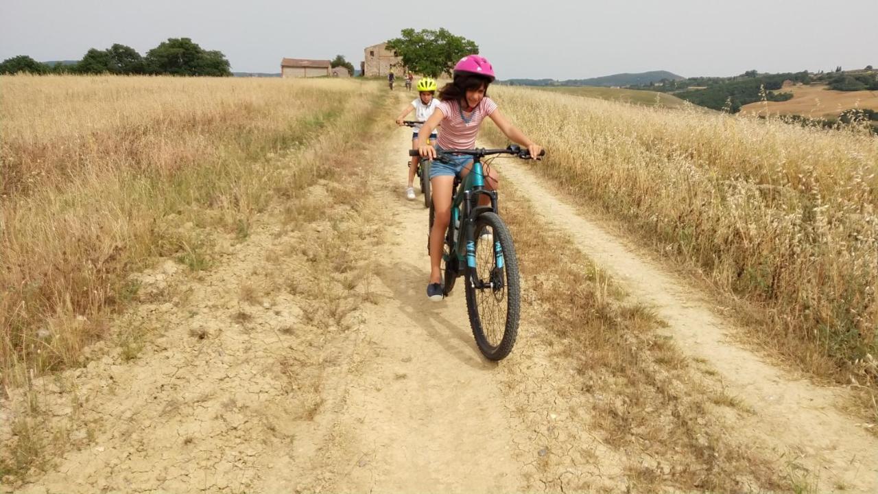 Willa Agriturismo Sole Trequanda Zewnętrze zdjęcie