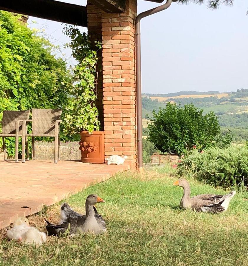 Willa Agriturismo Sole Trequanda Zewnętrze zdjęcie