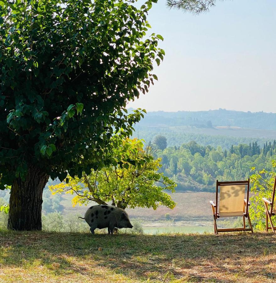 Willa Agriturismo Sole Trequanda Zewnętrze zdjęcie