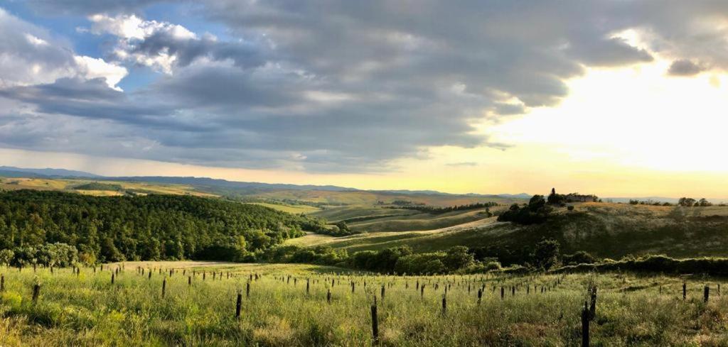 Willa Agriturismo Sole Trequanda Zewnętrze zdjęcie