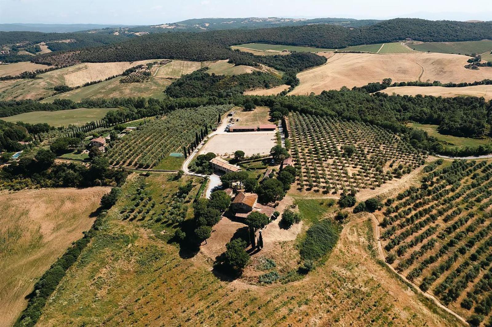 Willa Agriturismo Sole Trequanda Zewnętrze zdjęcie