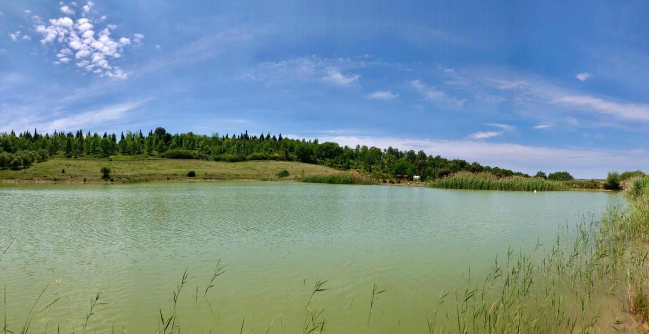 Willa Agriturismo Sole Trequanda Zewnętrze zdjęcie