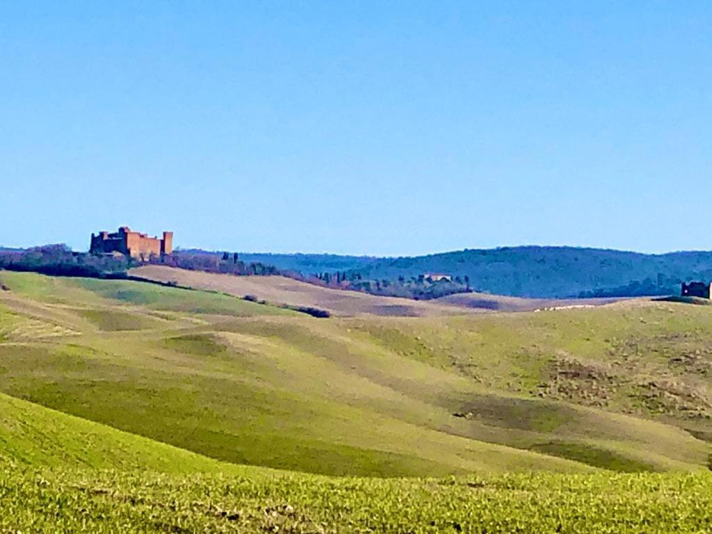 Willa Agriturismo Sole Trequanda Zewnętrze zdjęcie