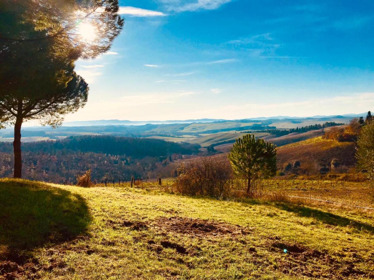 Willa Agriturismo Sole Trequanda Zewnętrze zdjęcie