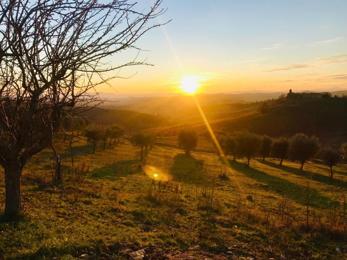 Willa Agriturismo Sole Trequanda Zewnętrze zdjęcie