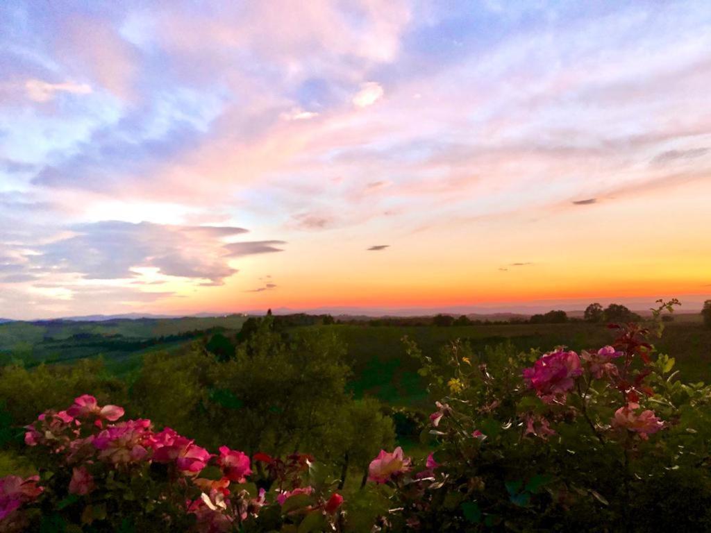 Willa Agriturismo Sole Trequanda Zewnętrze zdjęcie