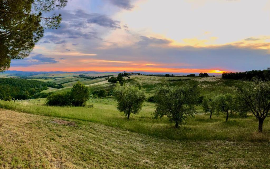 Willa Agriturismo Sole Trequanda Zewnętrze zdjęcie